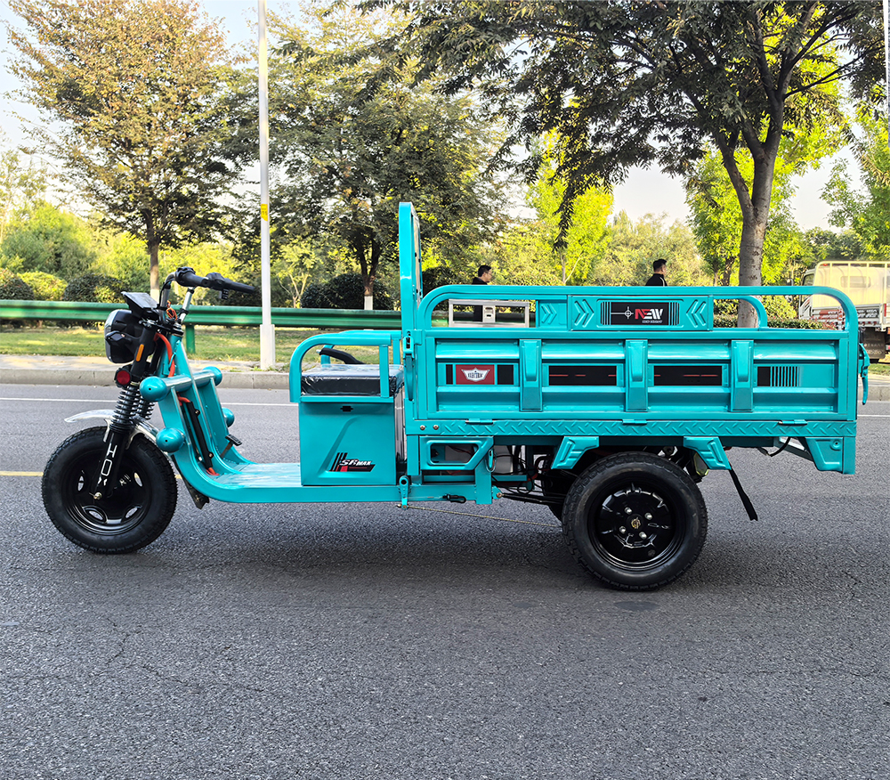 HYSQSL Electric Cargo Tricycle2