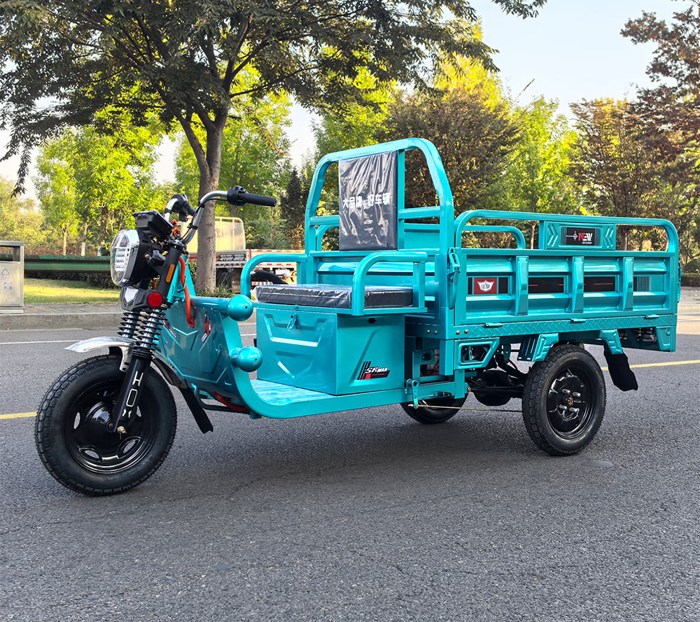 HYSQSL Electric Cargo Tricycle1