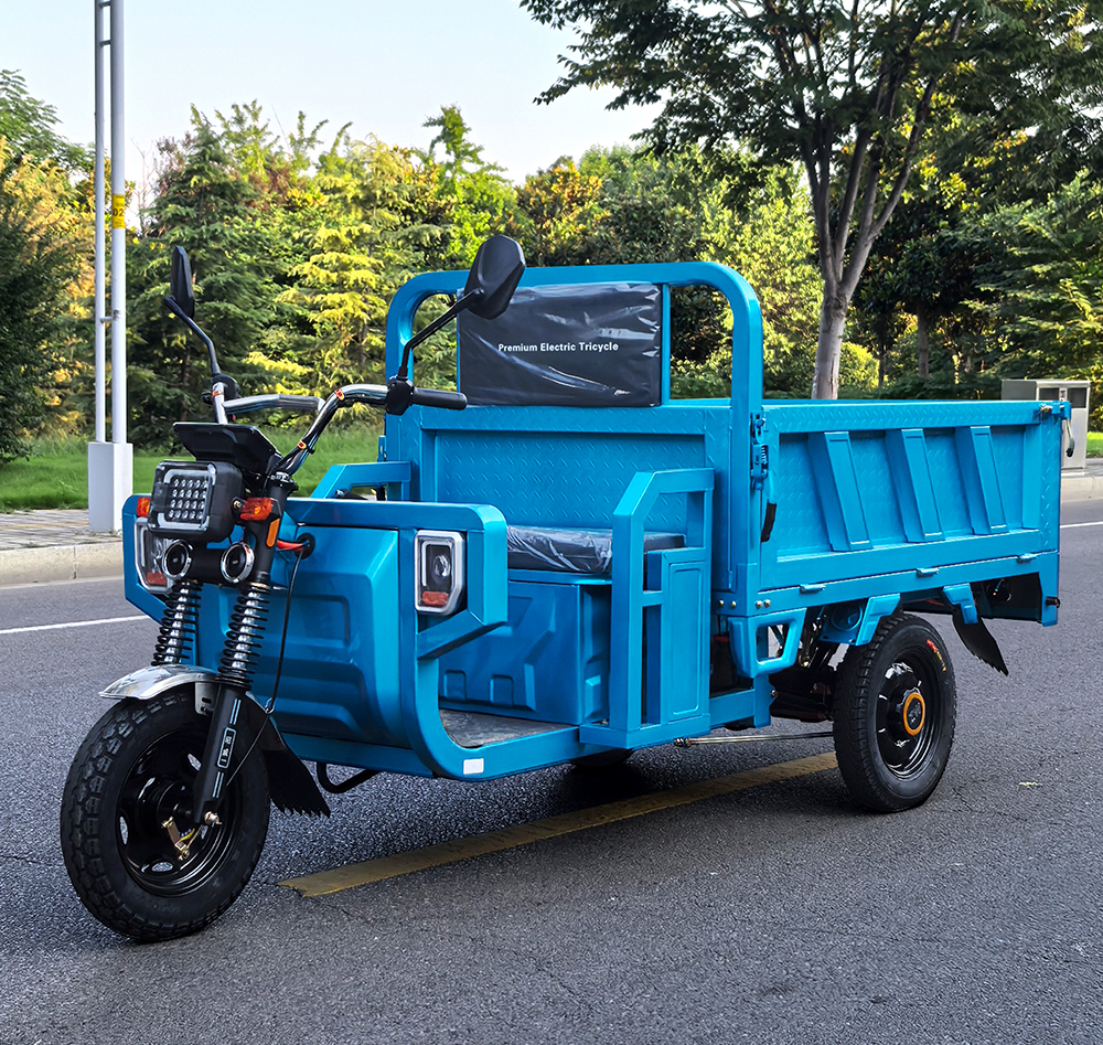 HYSL Electric Cargo Tricycle1