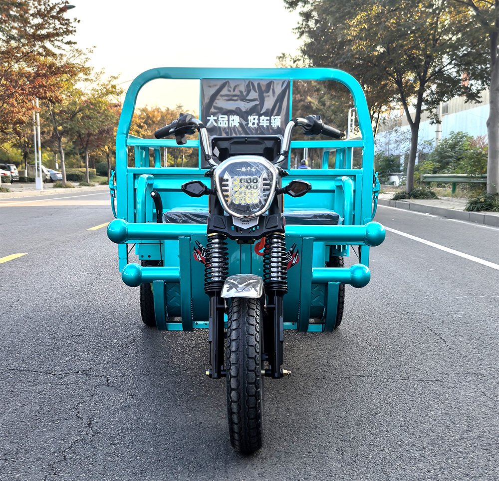 HYSQSL Electric Cargo Tricycle4
