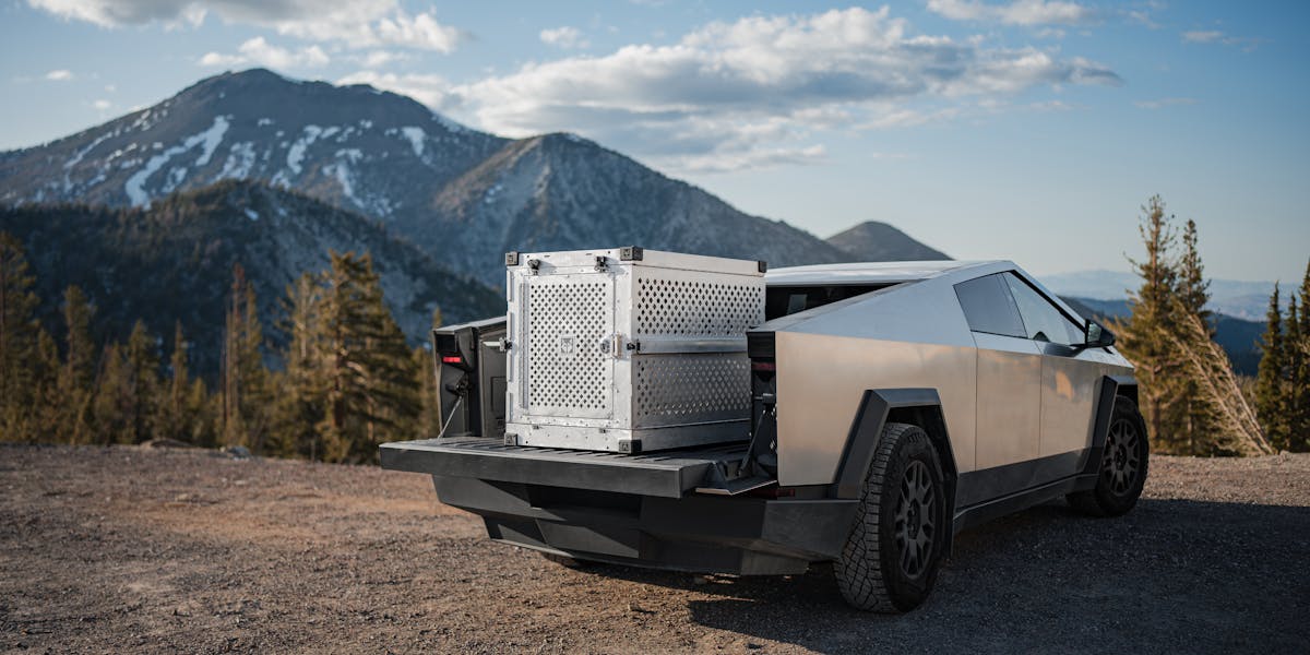 pexels-impact-dog-crates-1789722873-28468165